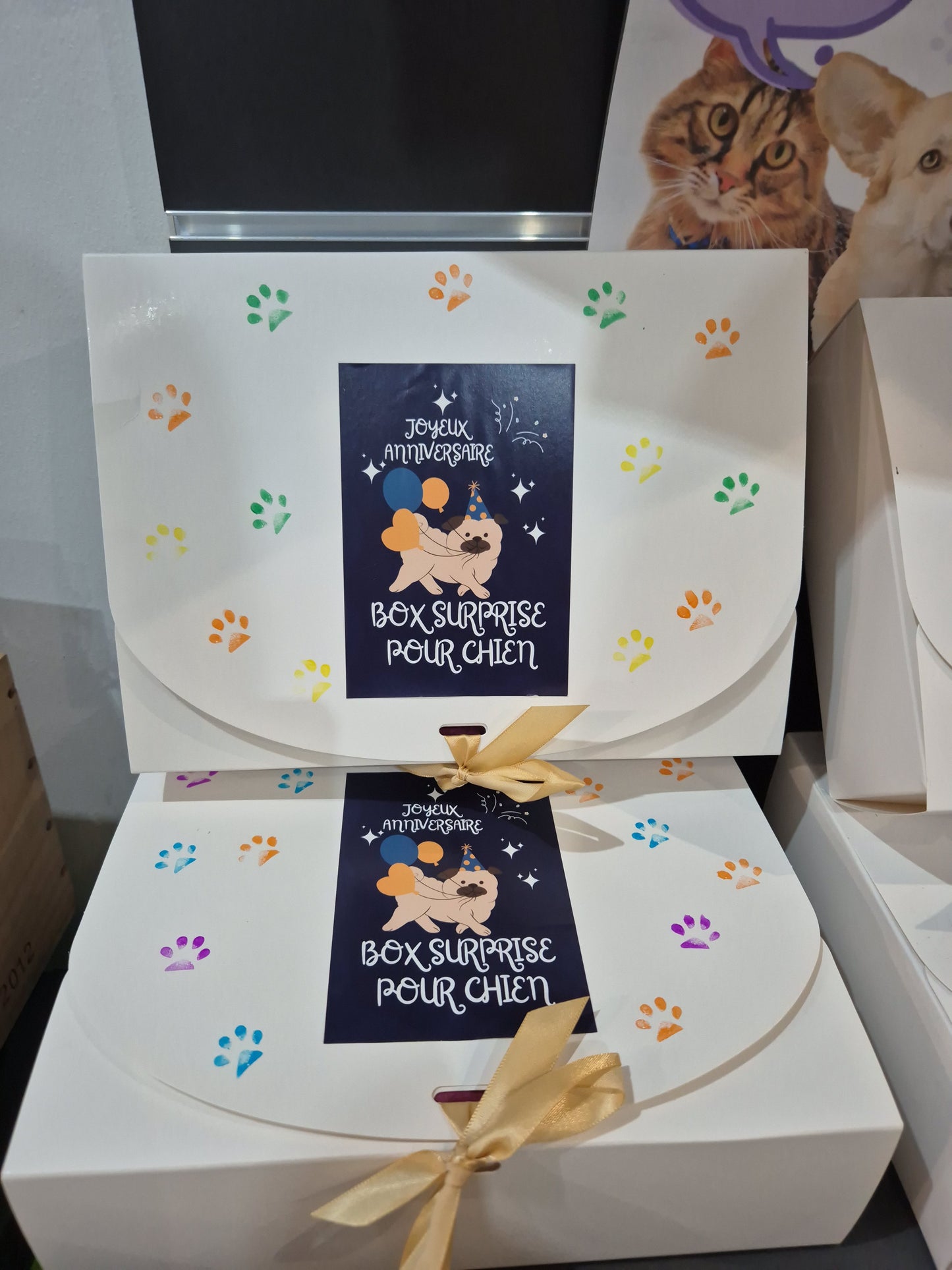 Box anniversaire chien