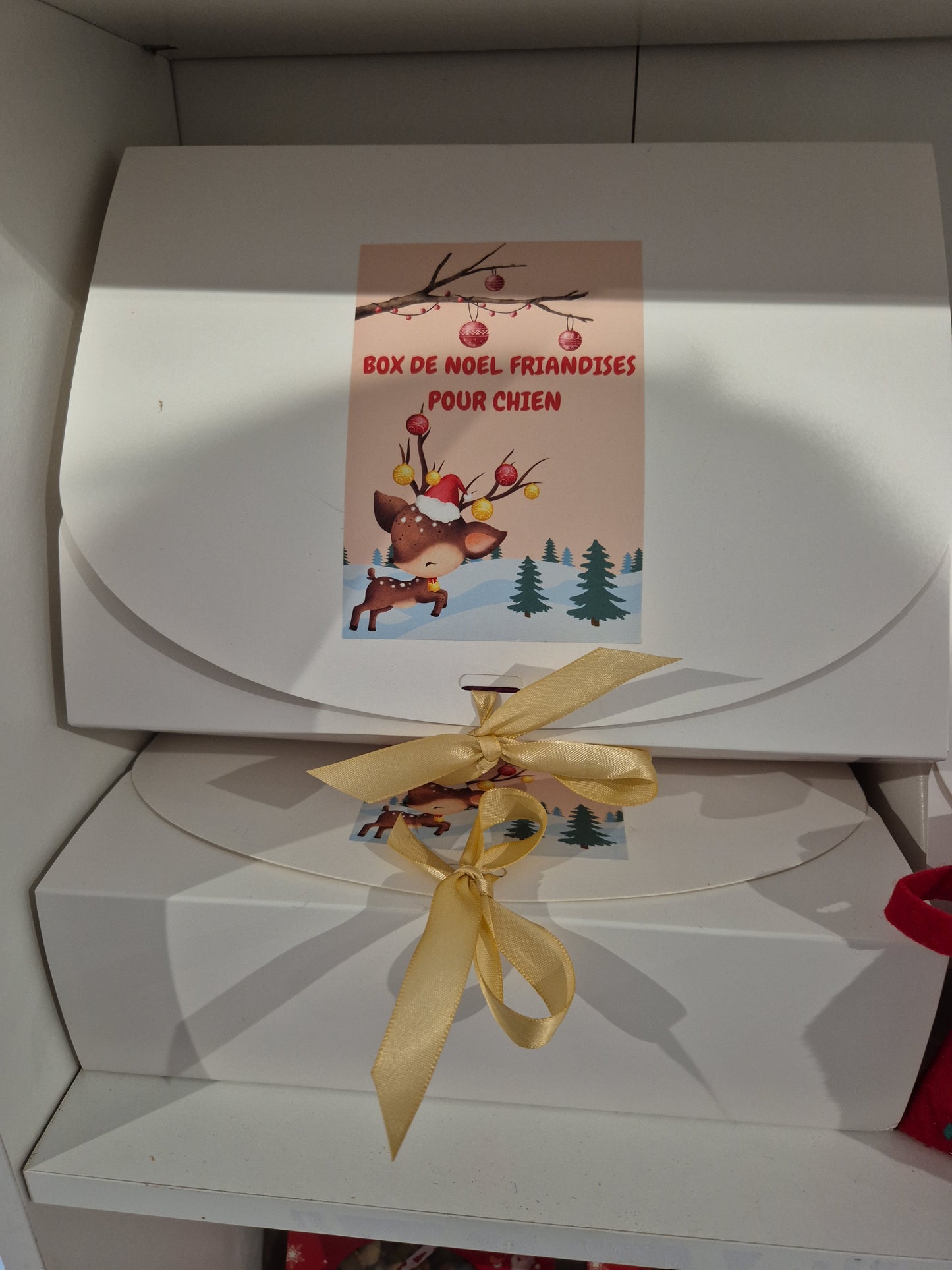 Box de noel chien