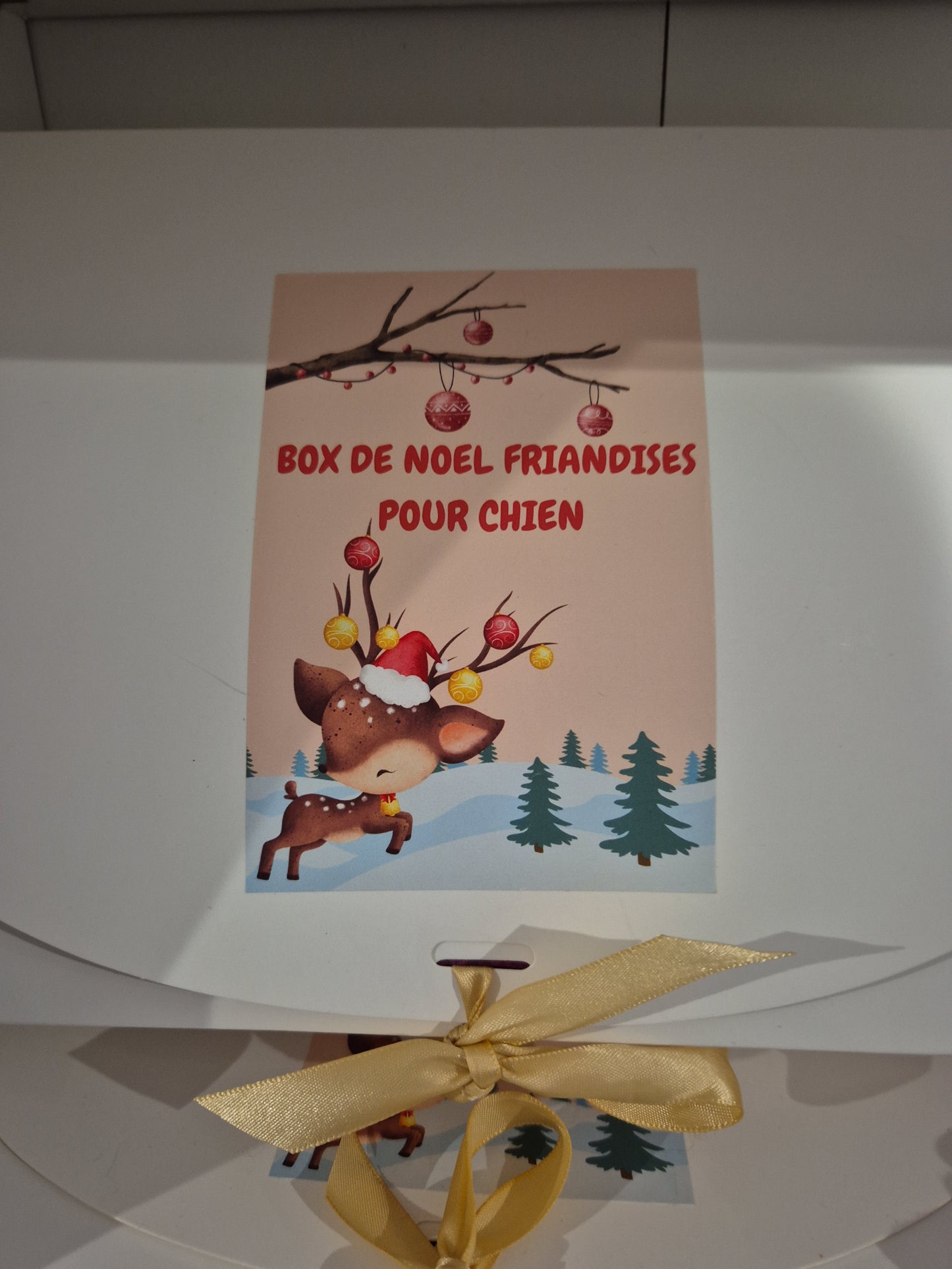 Box de noel chien