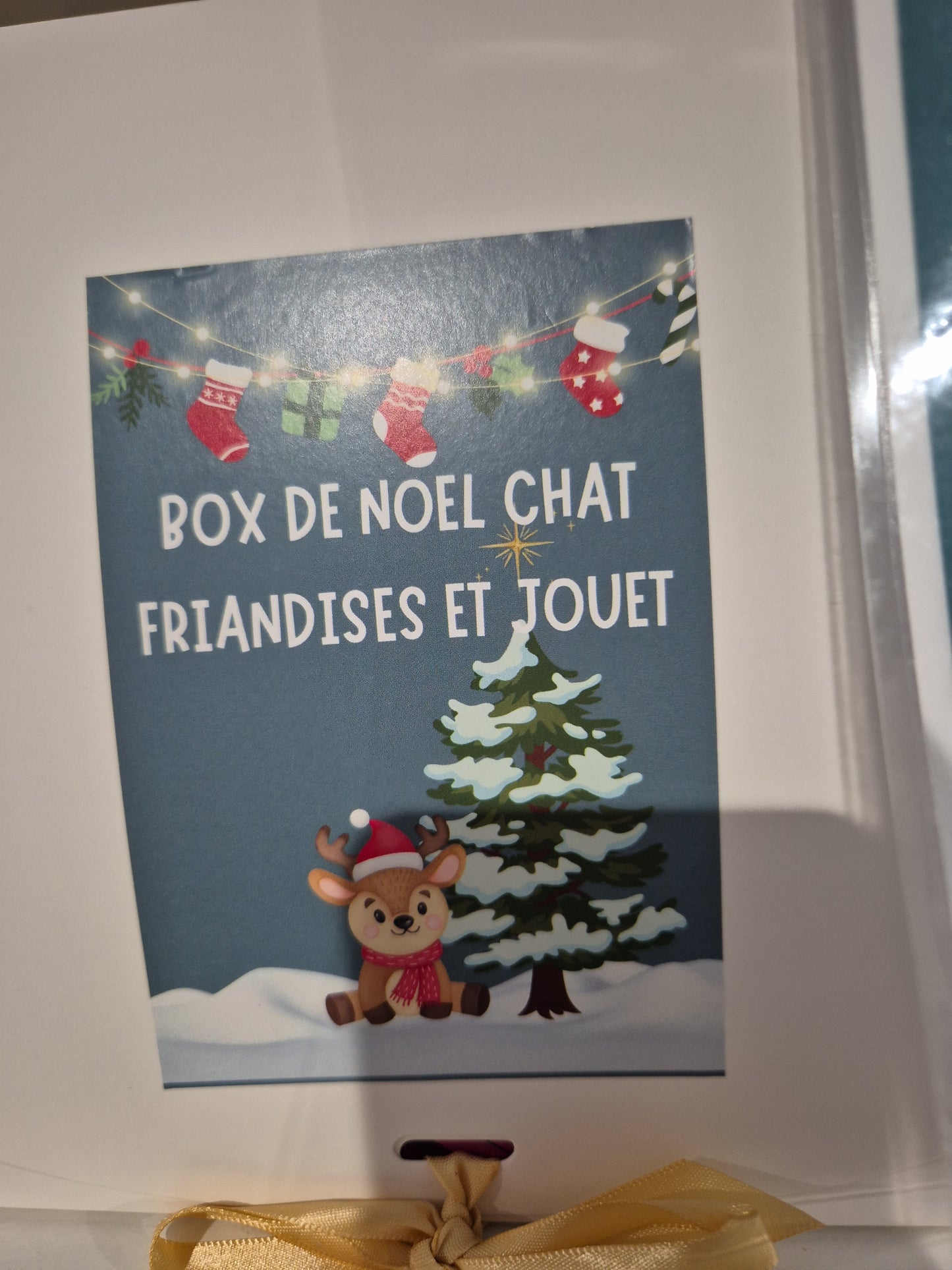 Box de noel chat