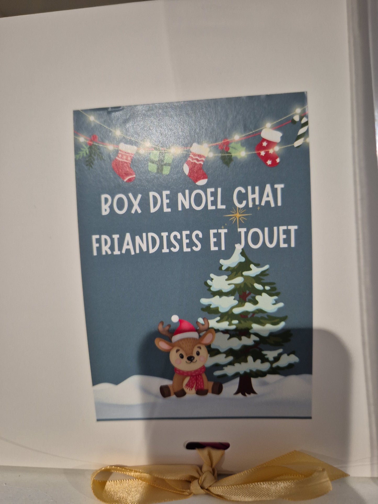 Box de noel chat