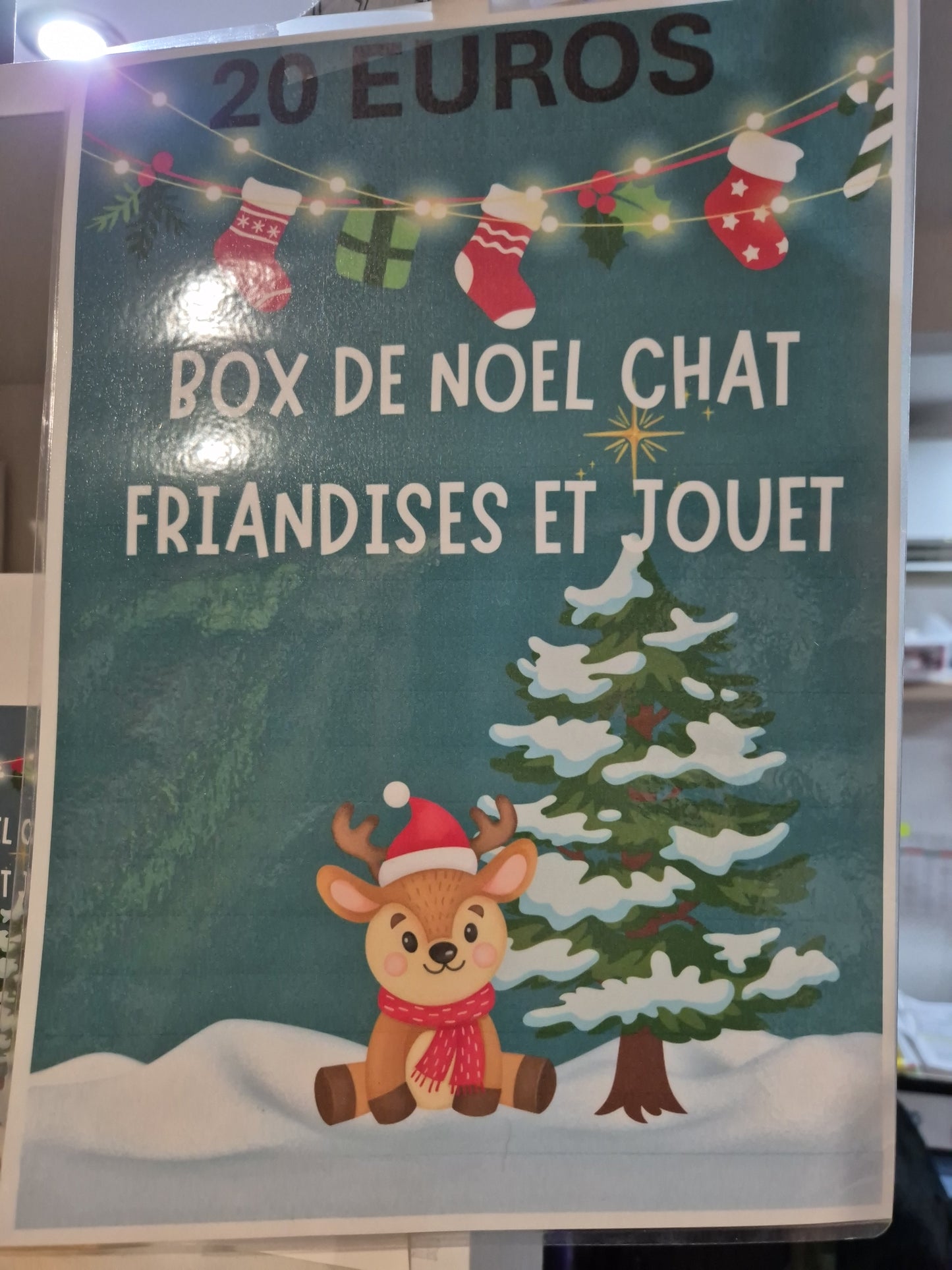 Box de noel chat