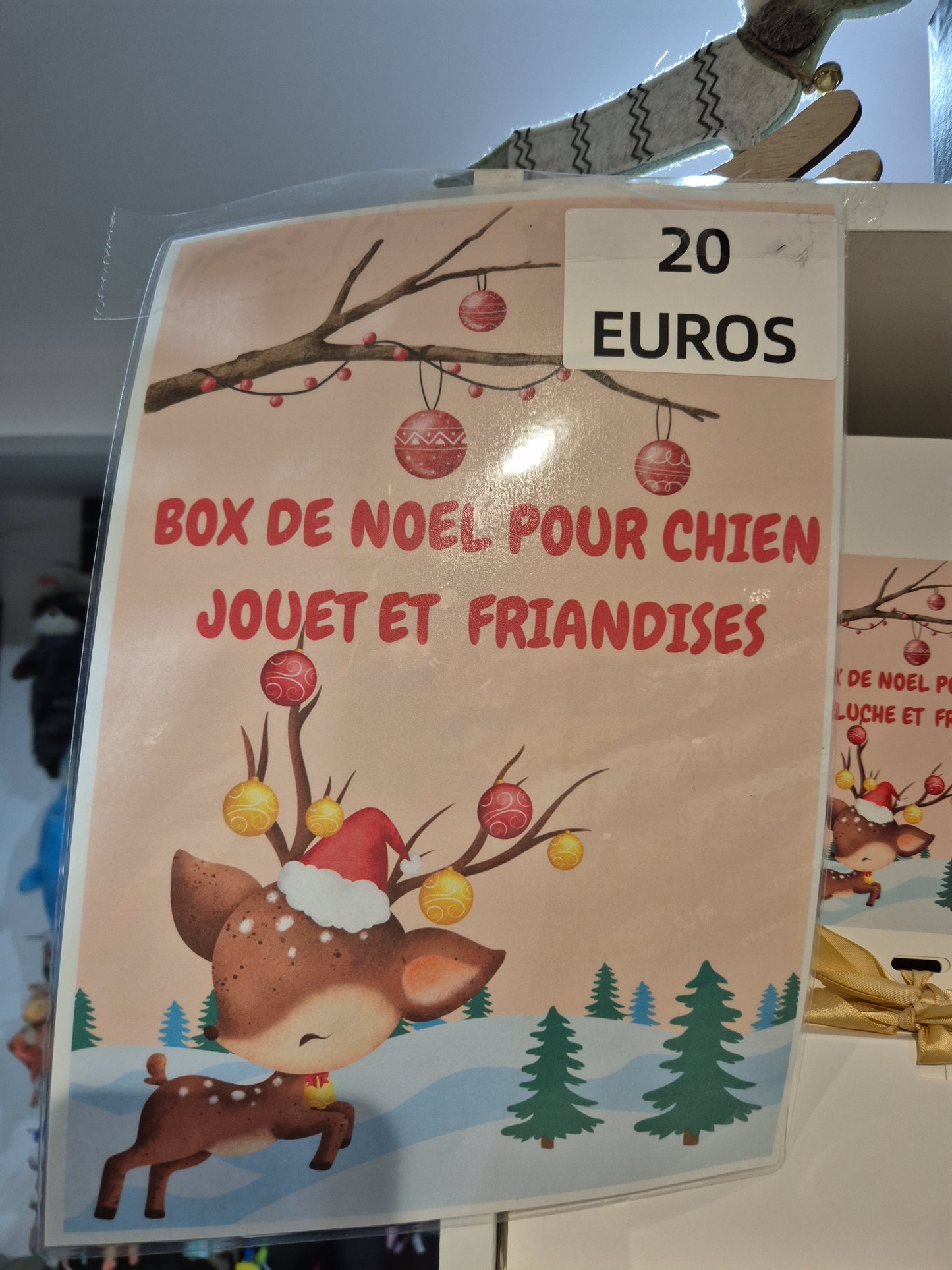 Box de noel chien